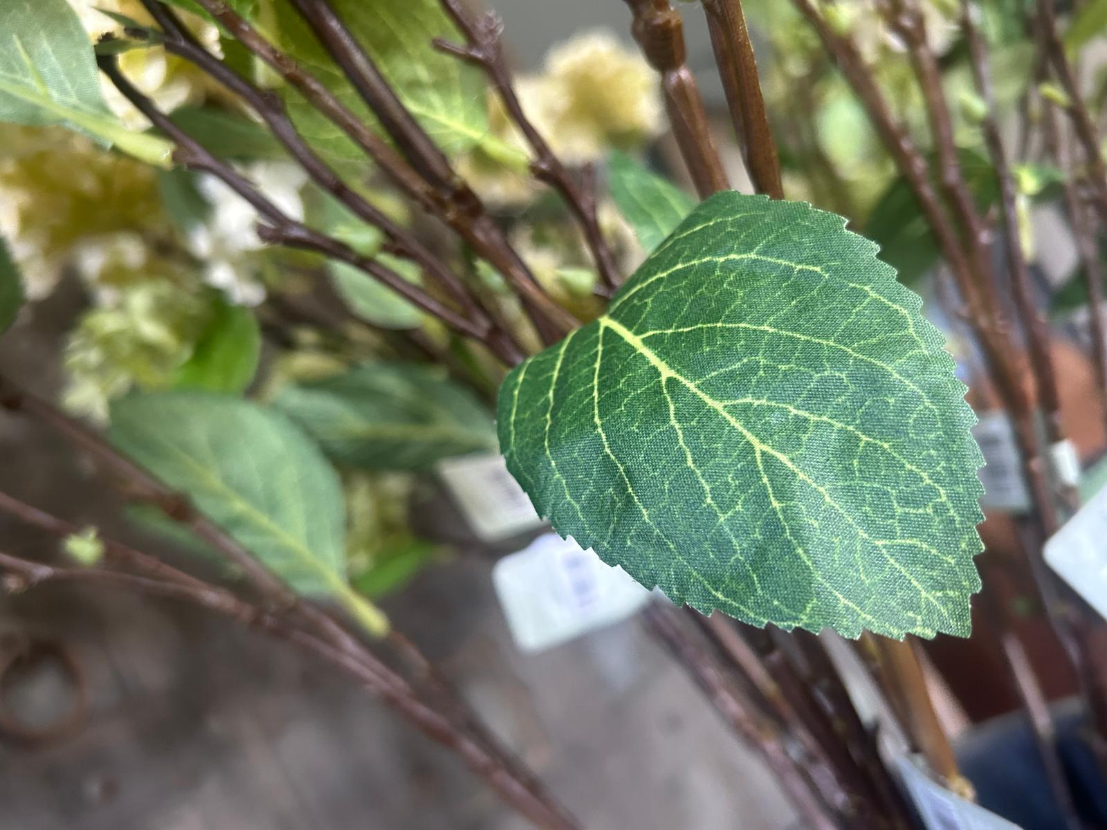 Sylxz Viburnum Opulus White 120 cm | Erve Smit Landelijke decoratie Sylxz Viburnum Opulus White 120 cm