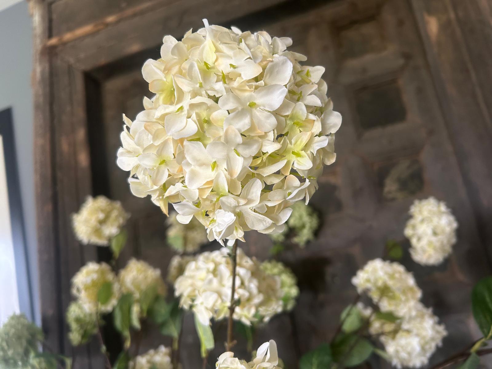 Sylxz Viburnum Opulus White 120 cm | Erve Smit Landelijke decoratie Sylxz Viburnum Opulus White 120 cm