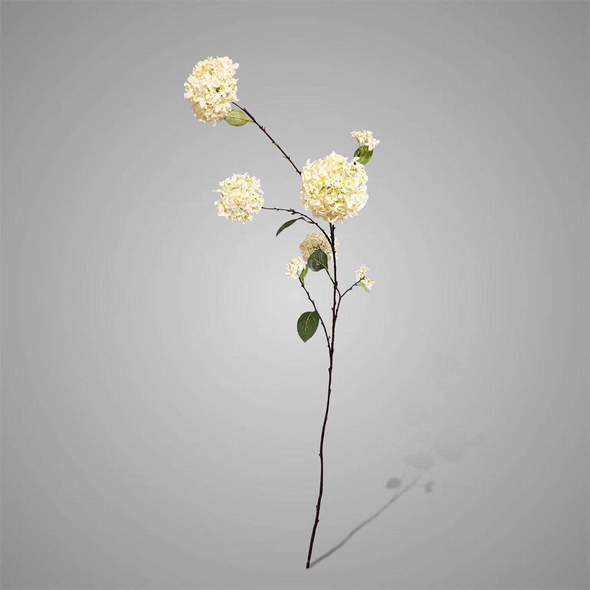 Sylxz Viburnum Opulus White 120 cm | Erve Smit Landelijke decoratie Sylxz Viburnum Opulus White 120 cm