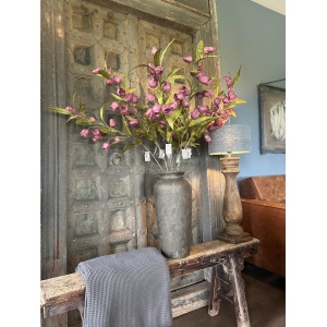 Sylxz Campanula Grande Paars 100 cm