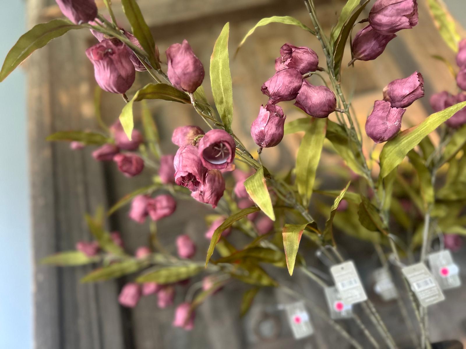 Sylxz Campanula Grande Paars 100 cm | Erve Smit Landelijke decoratie Sylxz Campanula Grande Paars 100 cm