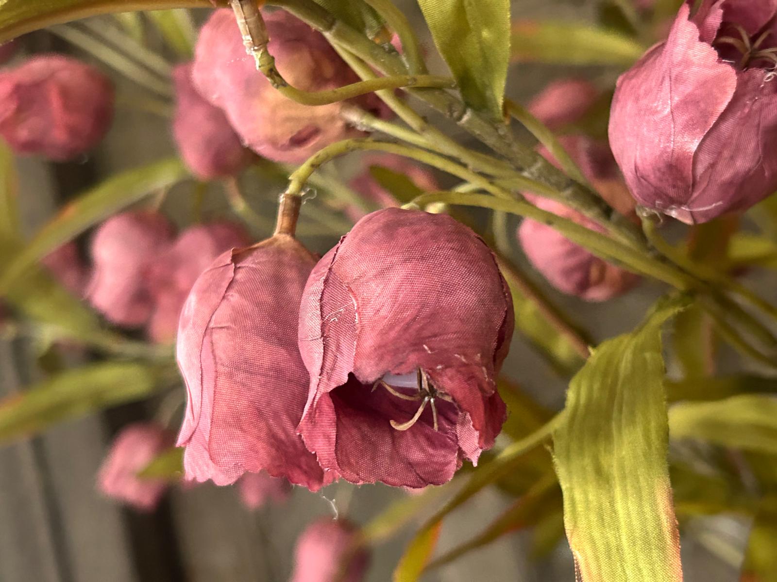 Sylxz Campanula Grande Paars 100 cm | Erve Smit Landelijke decoratie Sylxz Campanula Grande Paars 100 cm