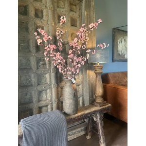 Sylxz Chaenomeles Double Pink 100cm