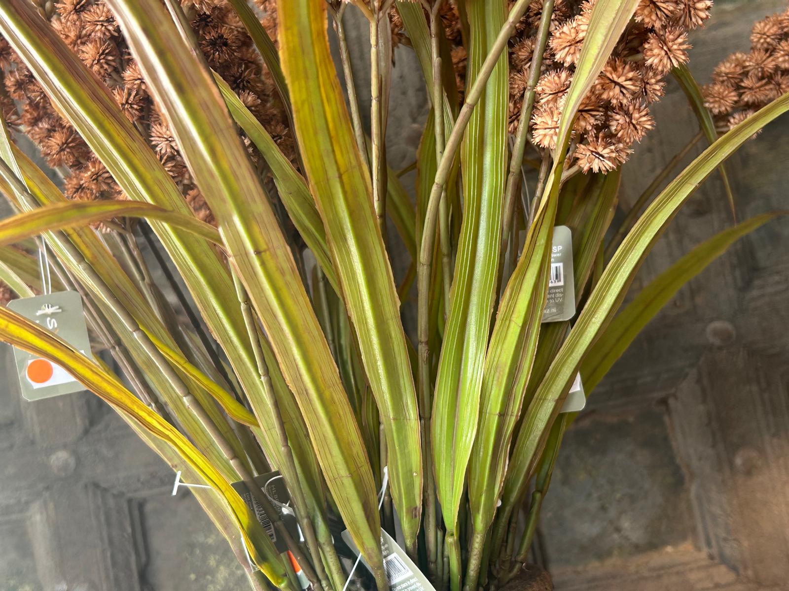 Sylxz Grass Flower Spring Sober Bruin 76 cm | Erve Smit Landelijke decoratie Sylxz Grass Flower Spring Sober Bruin 76 cm - Afbeelding 5