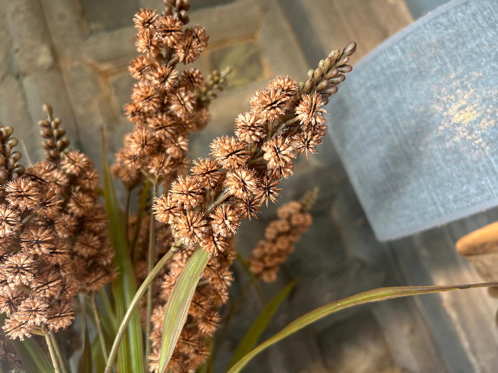 Sylxz Grass Flower Spring Sober Bruin 76 cm | Erve Smit Landelijke decoratie Sylxz Grass Flower Spring Sober Bruin 76 cm - Afbeelding 8