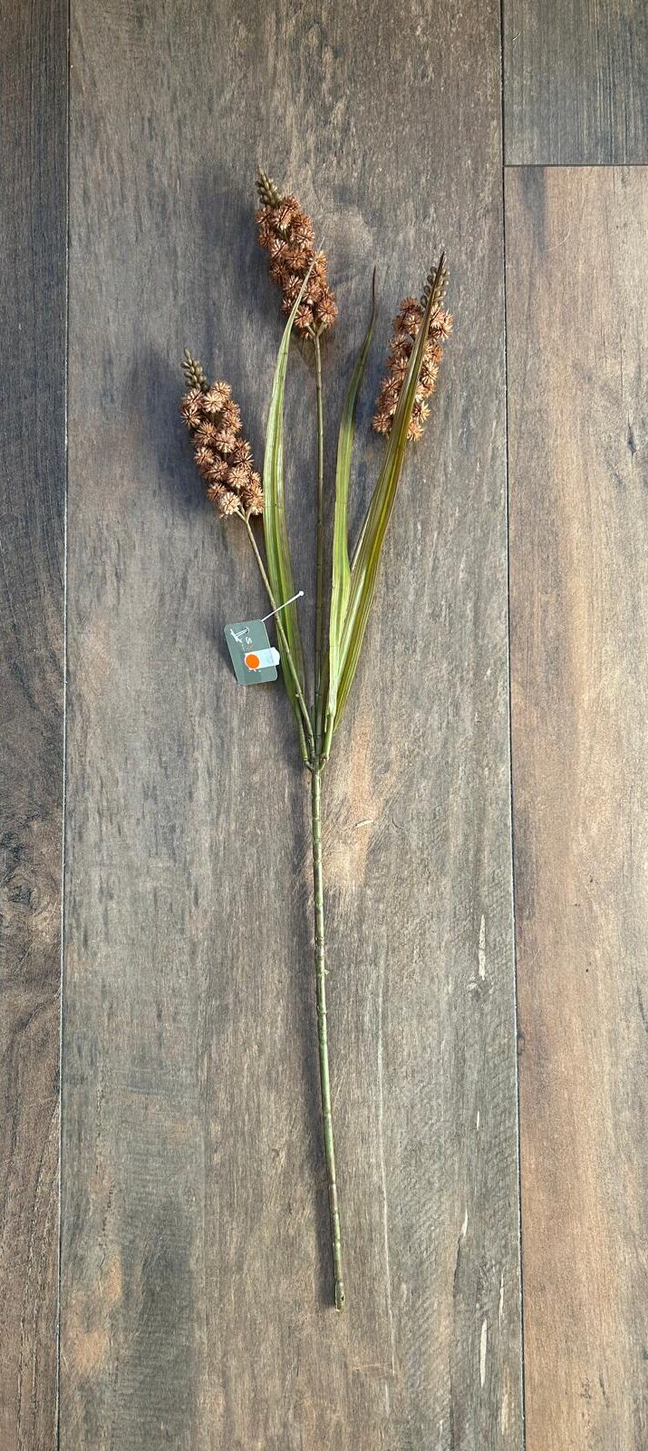 Sylxz Grass Flower Spring Sober Bruin 76 cm | Erve Smit Landelijke decoratie Sylxz Grass Flower Spring Sober Bruin 76 cm