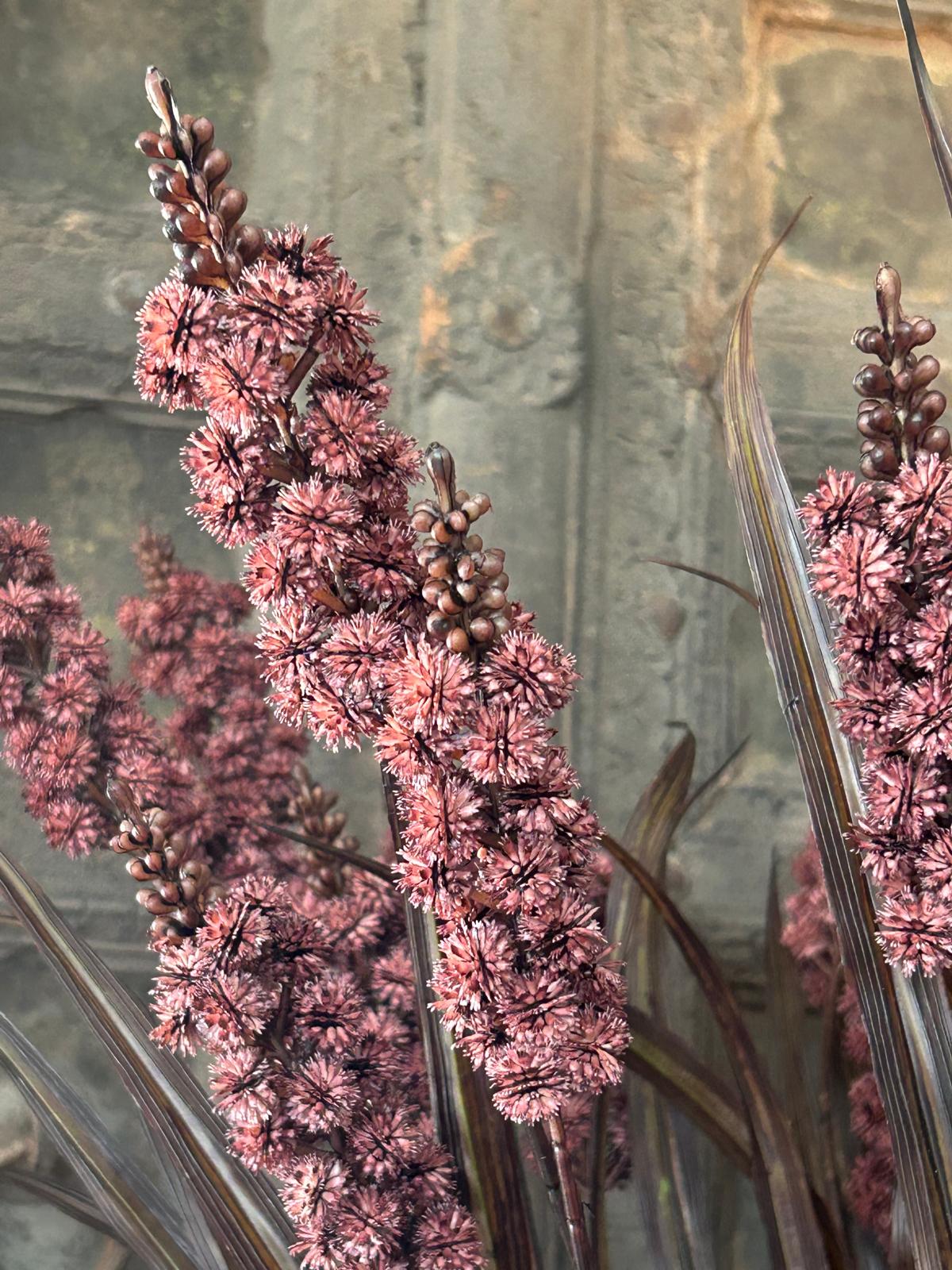 Sylxz Grass Flower Spring Sober Roodbruin 76 cm | Erve Smit Landelijke decoratie Sylxz Grass Flower Spring Sober Roodbruin 76 cm - Afbeelding 6