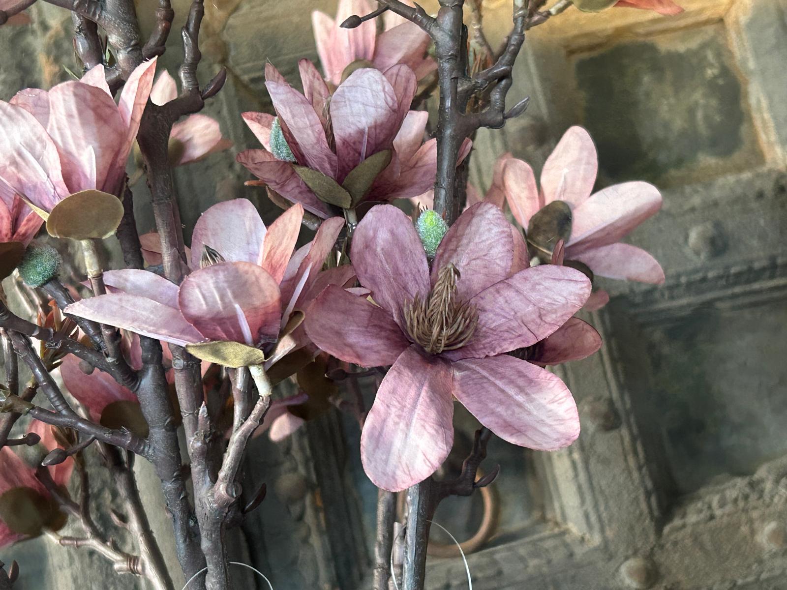 Sylxz Magnolia Pink 92 cm | Erve Smit Landelijke decoratie Sylxz Magnolia Pink 92 cm.