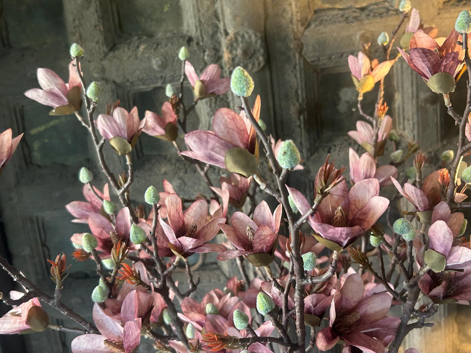 Sylxz Magnolia Pink 92 cm | Erve Smit Landelijke decoratie Sylxz Magnolia Pink 92 cm