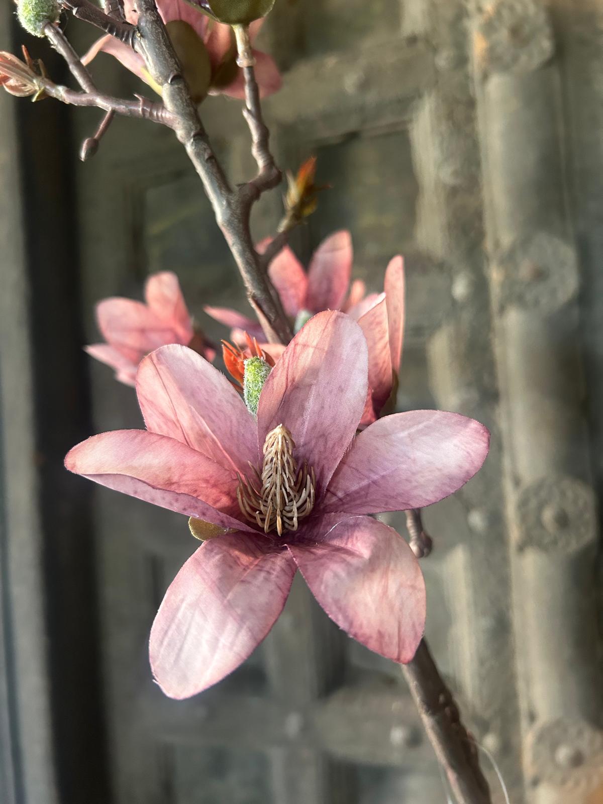 Sylxz Magnolia Pink 92 cm | Erve Smit Landelijke decoratie Sylxz Magnolia Pink 92 cm