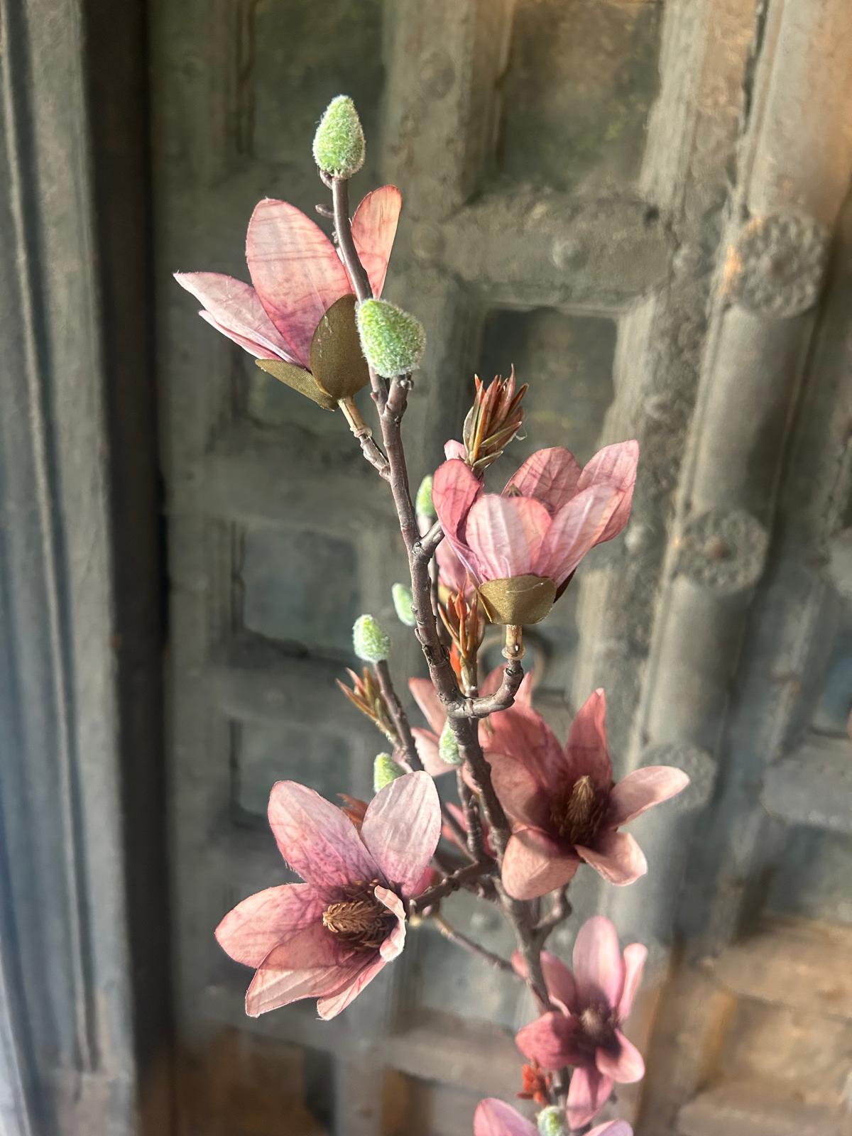 Sylxz Magnolia Pink 92 cm | Erve Smit Landelijke decoratie Sylxz Magnolia Pink 92 cm