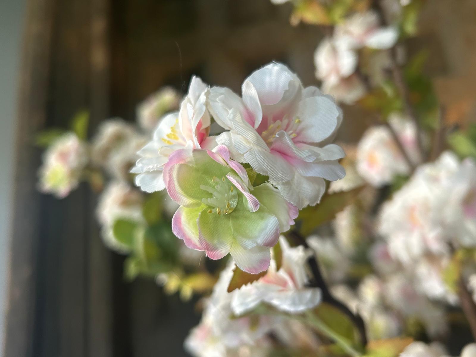 Sylxz Prunus Blossom Pink 98 cm | Erve Smit Landelijke decoratie Sylxz Prunus Blossom Pink 98 cm - Afbeelding 8