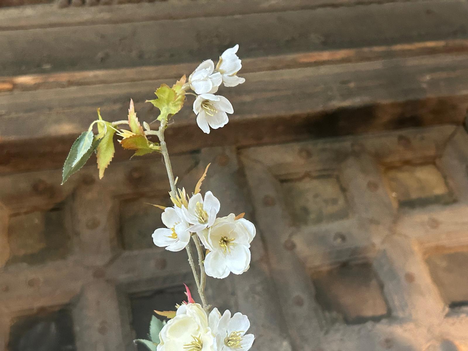 Sylxz Prunus Blossom White 100 cm | Erve Smit Landelijke decoratie Sylxz Prunus Blossom White 100 cm