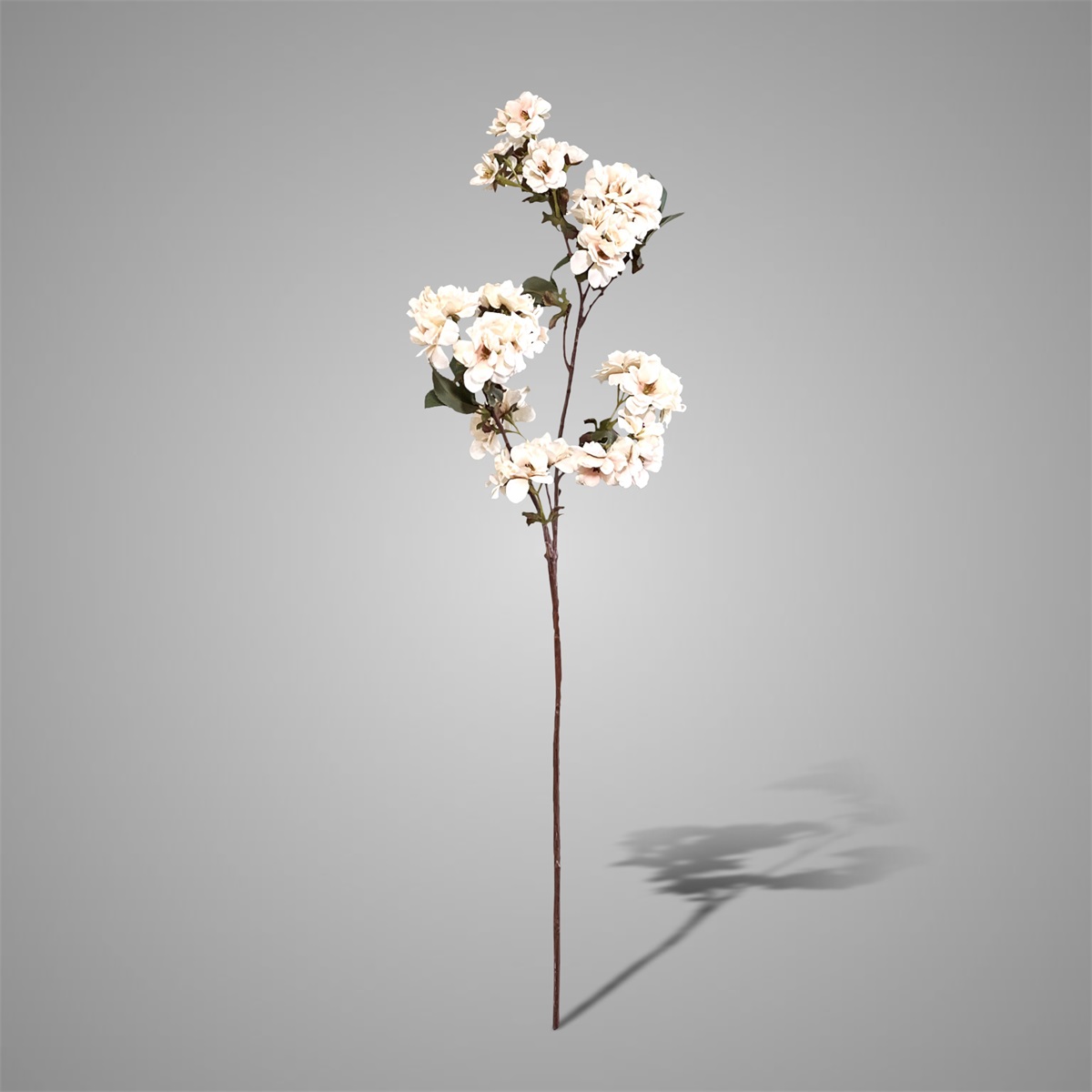 Sylxz Prunus Sakura White 81 cm | Erve Smit Landelijke decoratie Sylxz Prunus Sakura White 81 cm