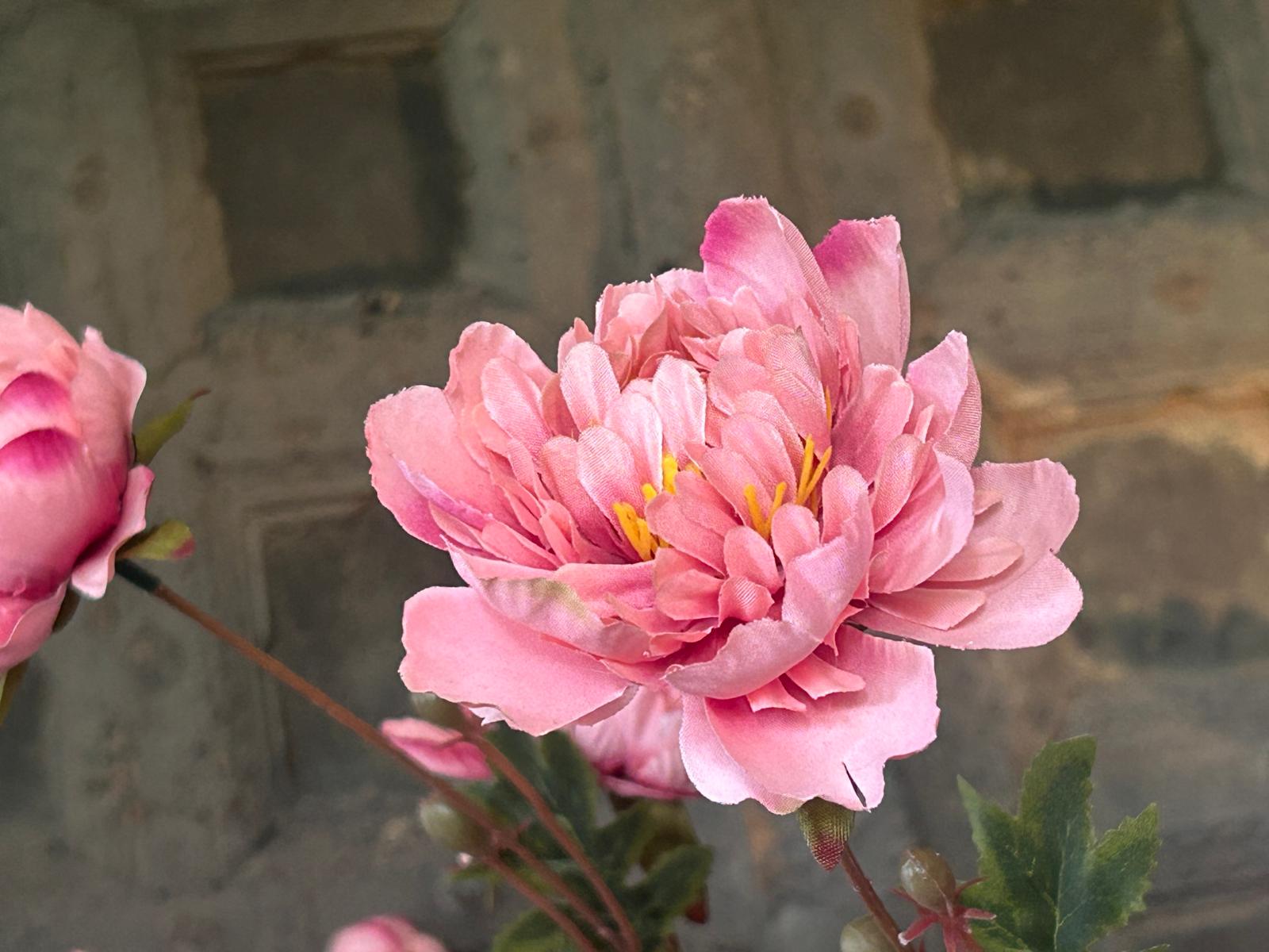 Sylxz Ranunculus Sober Spring Roze 92 cm | Erve Smit Landelijke decoratie Sylxz Ranunculus Sober Spring Roze 92 cm