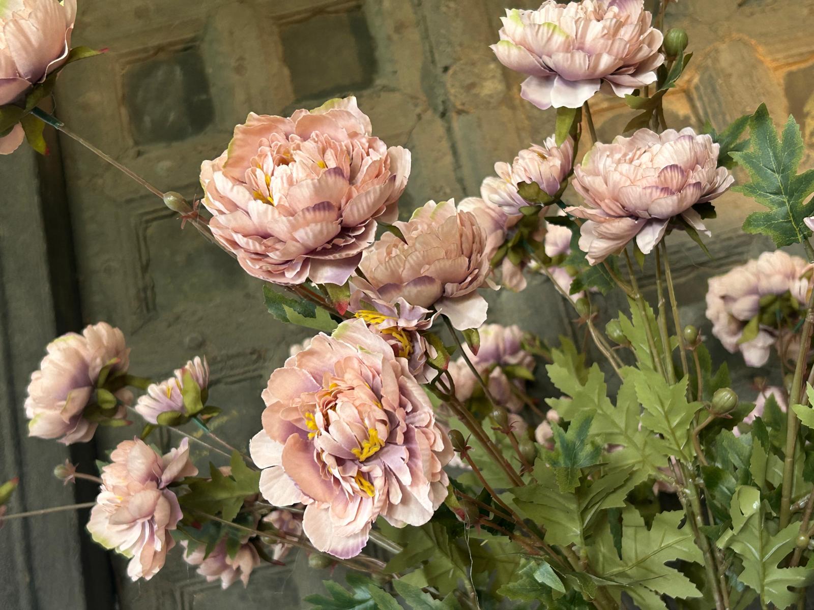 Sylxz Ranunculus Sober Spring Zalmroze 92 cm | Erve Smit Landelijke decoratie Sylxz Ranunculus Sober Spring Zalmroze 92 cm