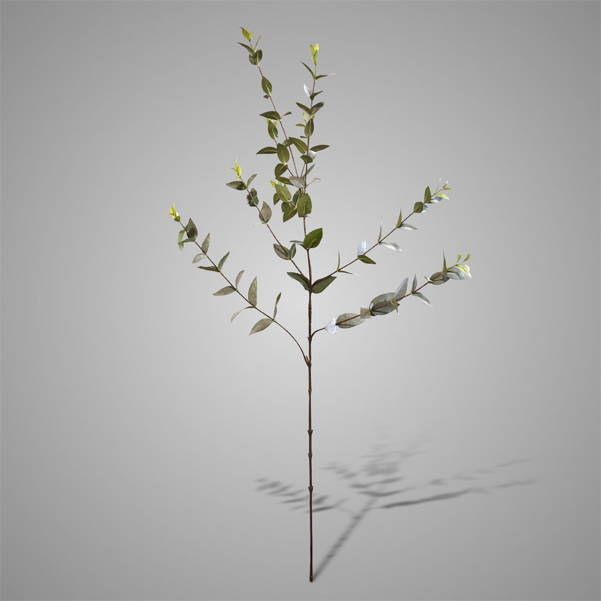 Sylxz Ligustrum Green/grey 100 cm | Erve Smit Landelijke decoratie Sylxz Ligustrum Green/grey 100 cm