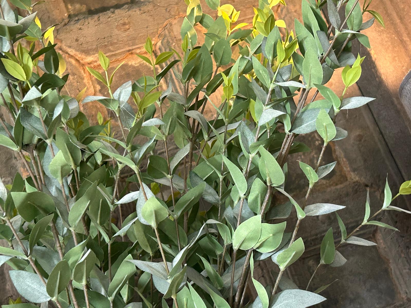 Sylxz Ligustrum Green/grey 100 cm | Erve Smit Landelijke decoratie Sylxz Ligustrum Green/grey 100 cm