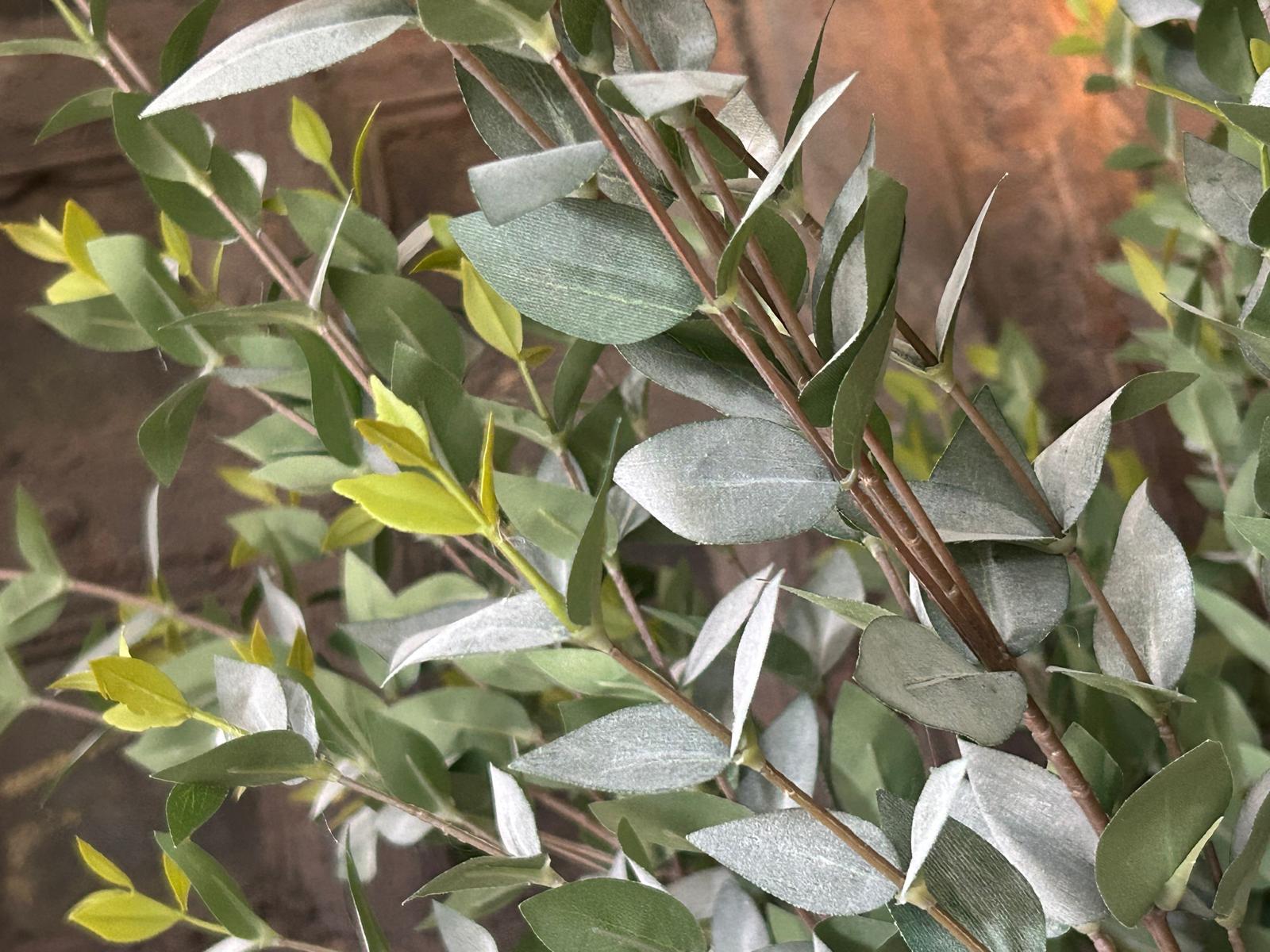 Sylxz Ligustrum Green/grey 100 cm | Erve Smit Landelijke decoratie Sylxz Ligustrum Green/grey 100 cm