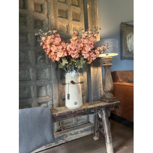 Brynxz Delphinium Copper 75 cm