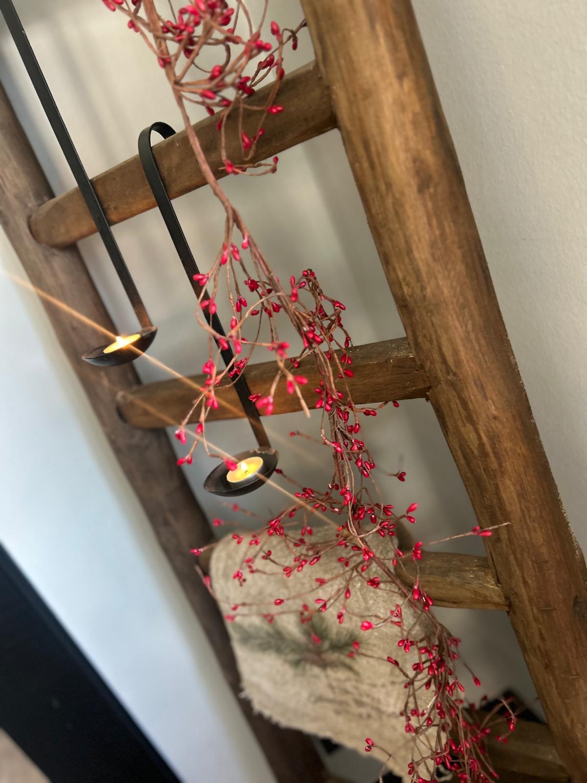 Brynxz Rosa Canina Berry Garland Red 150cm | Erve Smit Landelijke decoratie Brynxz Rosa Canina Berry Garland Red 150cm