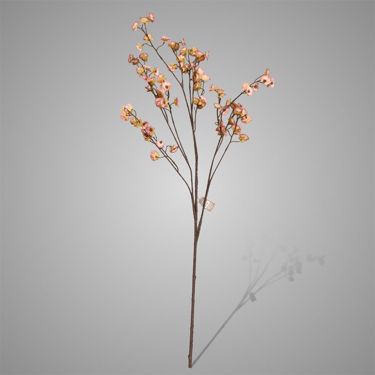 Sylxz Cornus Carved Grande Pink 120 cm | Erve Smit Landelijke decoratie Sylxz Cornus Carved Grande Pink 120 cm