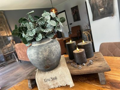 Brynxz Bolvase Allure Ancient Clay M