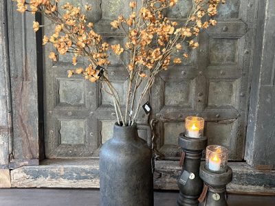 Brynxz Cornus Copper M 92 cm