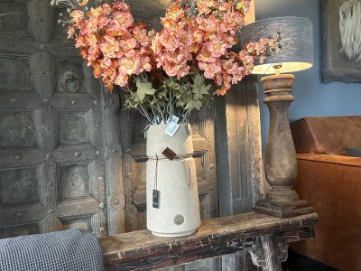 Brynxz Delphinium Copper 75 cm