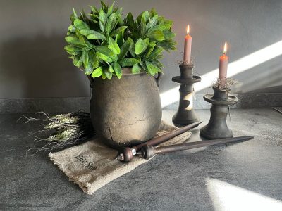 Brynxz Olivenblattbusch