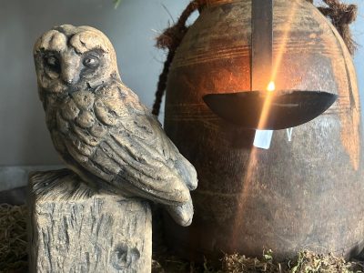 Brynxz Owl at a Statue Majestic Brown