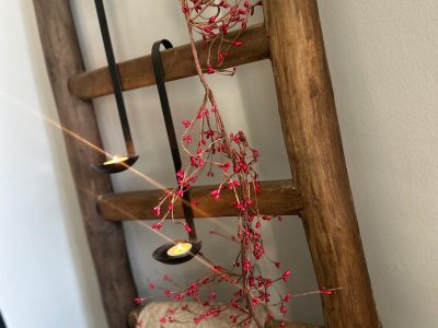 Brynxz Rosa Canina Berry Garland Red 150cm