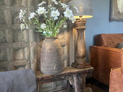 Scabiosa Spring 65 cm