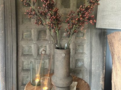 Sylxz Alnus Small Buds Brown 80 cm