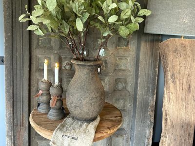 Sylxz Amelanchier Vintage Green 75 cm