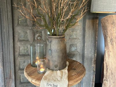 Sylxz Branch Moss 80 cm