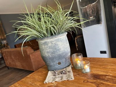 Sylxz Bush Grass Grande Grey 70 cm