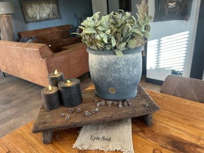 Sylxz Bush Stachys Grey 32 cm