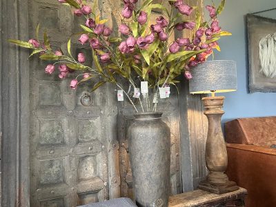 Sylxz Campanula Grande Paars 100 cm