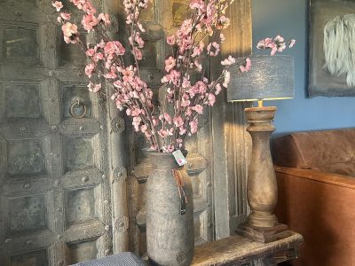 Sylxz Chaenomeles Double Pink 100cm