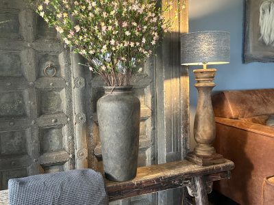 Sylxz Cytisus Springrange Roze 90 cm