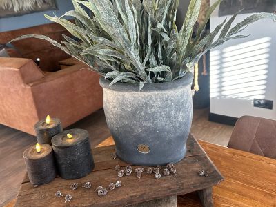 Sylxz Dearhorn Fern Grey Green 40 cm