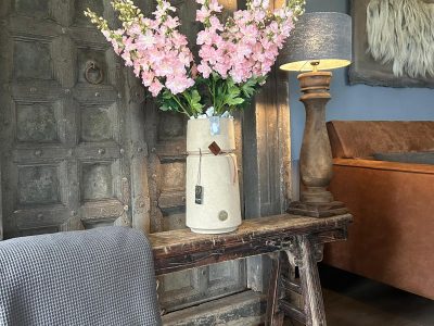 Sylxz Delphinium Light Pink