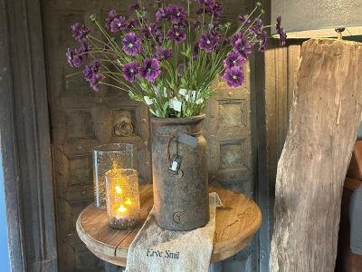 Sylxz Dianthus Spring 65 cm