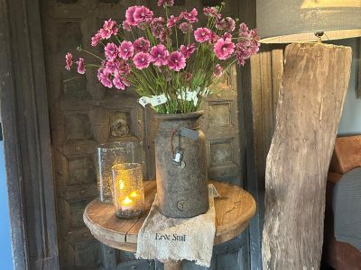 Sylxz Dianthus Spring 65 cm