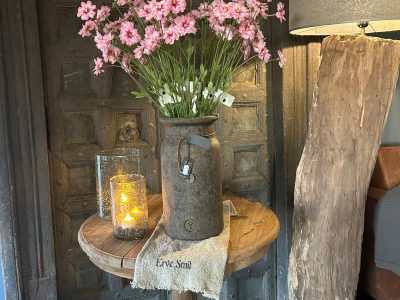 Sylxz Dianthus Spring 65 cm