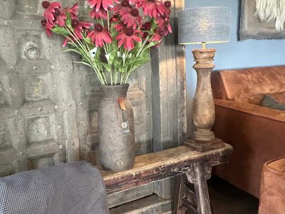 Sylxz Echinacea Dark Red 72 cm