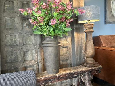 Sylxz Nepeta Bordeaux 74 cm