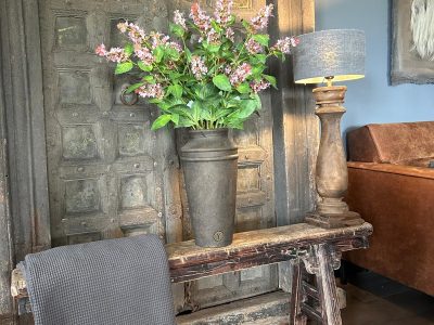 Sylxz Nepeta Roze 74 cm