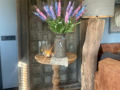 Sylxz Salvia Spring 76 cm Paars